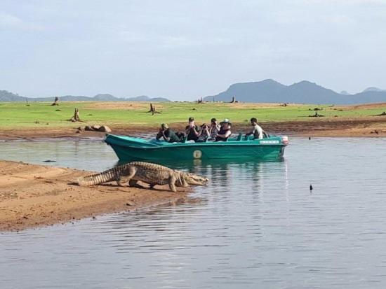 Rathnapriya Oasis 호텔 암파라 외부 사진